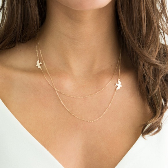 Jewelry - NEW double layer bird necklace